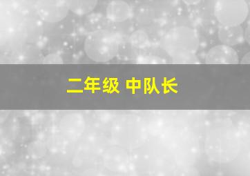 二年级 中队长